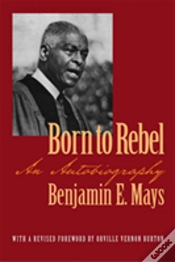 Capa do artigo Born To Rebel