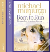 Capa do artigo Born To Run