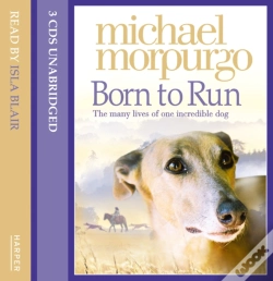 Capa do artigo Born To Run