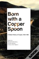 Born With A Copper Spoon