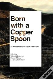 Capa do artigo Born With A Copper Spoon
