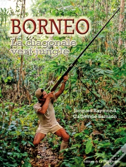 Capa do artigo Bornéo