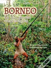 Capa do artigo Bornéo