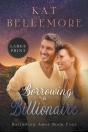 Borrowing A Billionaire - Preview