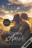 Borrowing Amor