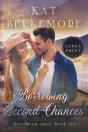 Borrowing Second Chances - Preview