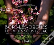 Capa do artigo Bort Les Orgues, Les Mots Sous Le Lac