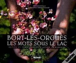 Capa do artigo Bort Les Orgues, Les Mots Sous Le Lac