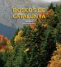 Boscos De Catalunya - Preview