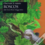 Capa do artigo Boscos