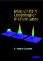 Bose-Einstein Condensation In Dilute Gases - Preview