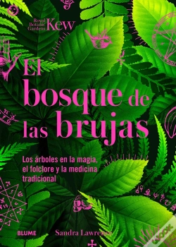 Capa do artigo Bosque De Las Brujas