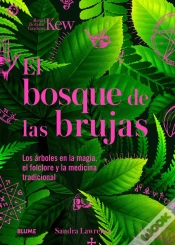 Capa do artigo Bosque De Las Brujas