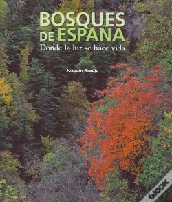 Capa do artigo Bosques De España (Fotografias) (Esp-Ing) 