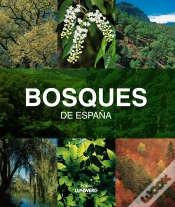 Capa do artigo Bosques De España. Lunwerg Medium