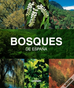 Capa do artigo Bosques De España. Lunwerg Medium