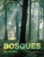 Bosques Del Mundo - Preview