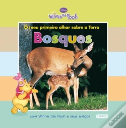 Capa do artigo Bosques