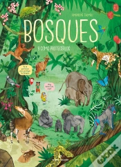 Capa do artigo Bosques... Y Como Protegerlos