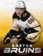 Boston Bruins - Preview