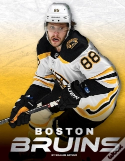 Capa do artigo Boston Bruins