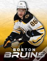 Boston Bruins