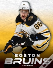 Capa do artigo Boston Bruins