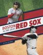 Boston Red Sox All-Time Greats - Preview