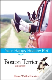 Capa do artigo Boston Terrier