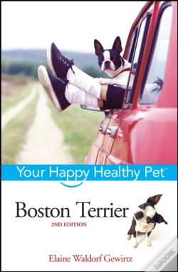 Capa do artigo Boston Terrier