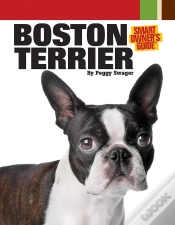 Capa do artigo Boston Terrier