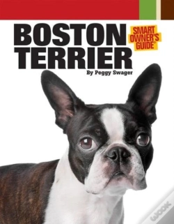 Capa do artigo Boston Terrier