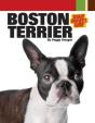 Boston Terrier - Preview