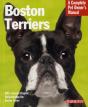 Boston Terriers - Preview