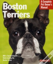 Capa do artigo Boston Terriers