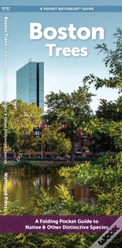 Capa do artigo Boston Trees