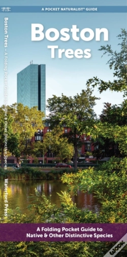 Capa do artigo Boston Trees