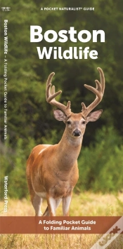 Capa do artigo Boston Wildlife