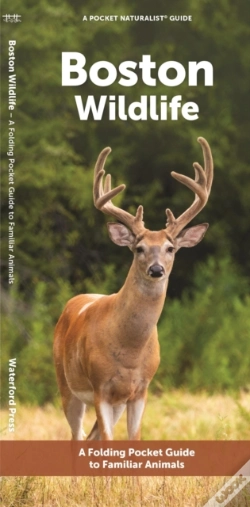 Capa do artigo Boston Wildlife