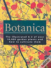 Capa do artigo Botanica