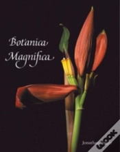 Capa do artigo Botanica Magnifica