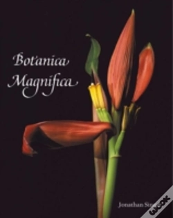 Capa do artigo Botanica Magnifica