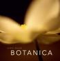 Botanica - Preview