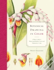 Capa do artigo Botanical Drawing In Color