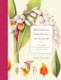 Botanical Drawing In Color - Preview