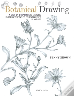 Capa do artigo Botanical Drawing