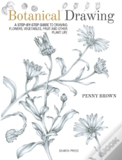 Capa do artigo Botanical Drawing