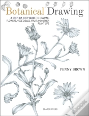 Capa do artigo Botanical Drawing
