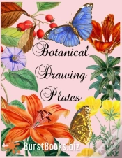 Capa do artigo Botanical Drawing Plates