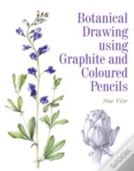 Botanical Drawing Using Graphite And Coloured Pencils